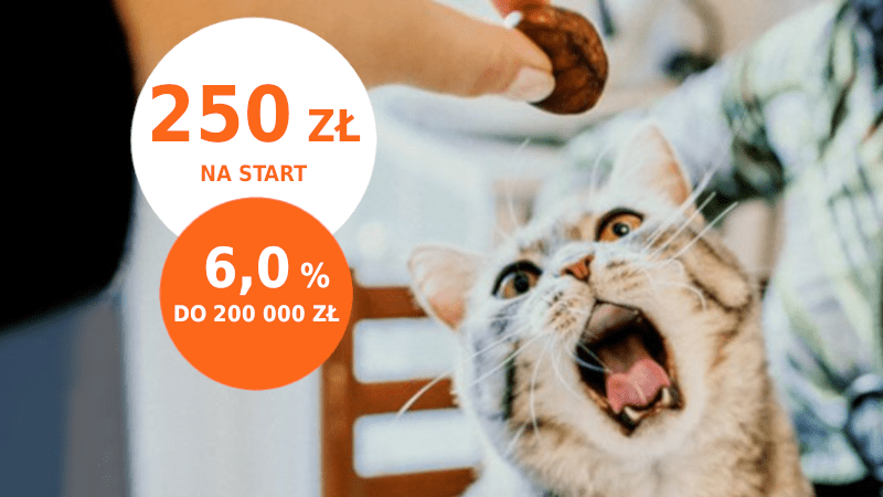 ing 250 promocja