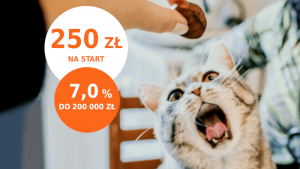 ing promocja 250 zł