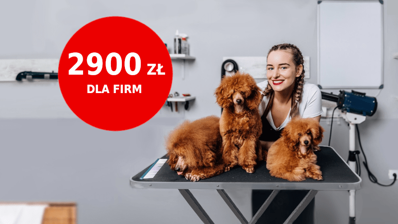 santander promocja dla firm 2900 zł