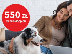 Promocja mBank: 550 zł za założenie eKonta i 8% dla oszczędności