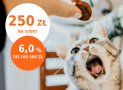 Promocje ING: 250 zł za założenie konta Direct lub Mobi + 6% dla oszczędności