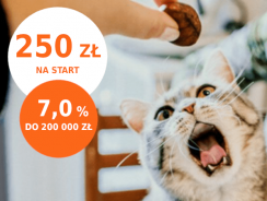 Promocje ING: 250 zł za założenie konta Direct lub Mobi + 7% dla oszczędności