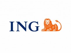 ING Direct Business