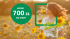 Łatwe 700 zł za konto w promocjach BNP Paribas (+8% dla oszczędności)