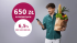 Promocja Millenium: 500 zł za konto + 150 zł dla dziecka + 6,5% dla oszczędności